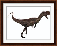 Dilophosaurus, a predatory dinosaur from the Jurassic period Fine Art Print