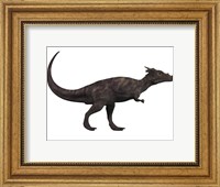 Dracorex, a herbivorous dinosaur from the Cretaceous period Fine Art Print