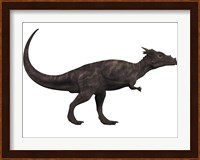 Dracorex, a herbivorous dinosaur from the Cretaceous period Fine Art Print