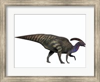 Parasaurolophus, a herbivorous dinosaur from the Cretaceous period Fine Art Print