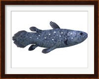 Coelacanth fish against white background Fine Art Print