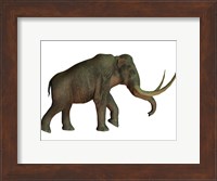 The Columbian mammoth, an extinct species of elephant Fine Art Print