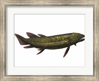 Dipterus, an extinct genus of freshwater lungfish Fine Art Print