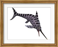 Eurhinosaurus, an extinct genus of ichthyosaur Fine Art Print