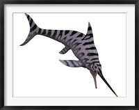 Eurhinosaurus, an extinct genus of ichthyosaur Framed Print
