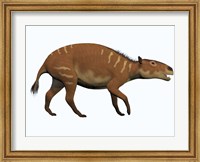 Eurohippus, an extinct ancestor of the modern horse Fine Art Print