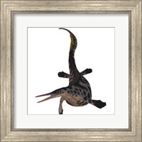 Hupehsuchus, a genus of marine reptile that lived during the Triassic Period Fine Art Print