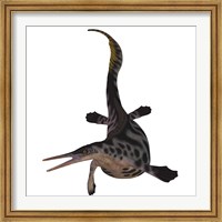 Hupehsuchus, a genus of marine reptile that lived during the Triassic Period Fine Art Print