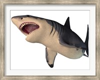 Megalodon shark, an enormous predator from the Cenozoic Era Fine Art Print