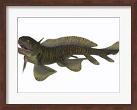 Xenacanthus, a Devonian freshwater shark Fine Art Print