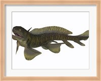 Xenacanthus, a Devonian freshwater shark Fine Art Print