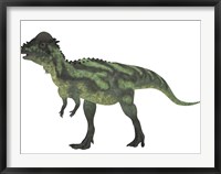 Pachycephalosaurus, a biped dinosaur from the Cretaceous Period Fine Art Print