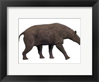Paraceratherium, an extinct rhinoceros-like mammal Fine Art Print