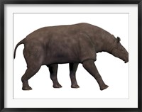 Paraceratherium, an extinct rhinoceros-like mammal Fine Art Print