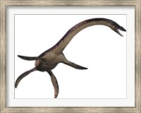 Plesiosaurus, large marine predatory reptile from the Jurassic Era Fine Art Print