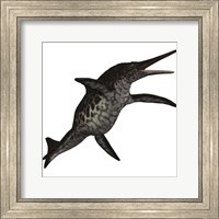 Shonisaurus, a prehistoric ichthyosaur from the Triassic period Fine Art Print