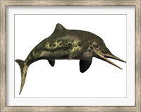Stenopterygius was an ichthyosaur from the Jurassic Period Fine Art Print