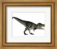 Tyranosaurus Rex, a large carnivore of the Cretaceous Period Fine Art Print