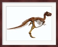 Tyrannosaurus Rex dinosaur skeleton Fine Art Print