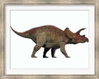 Triceratops, a herbivorous dinosaur from the Cretaceous Period Fine Art Print