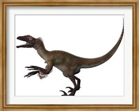 Utahraptor, a carnivorous dinosaur from the Cretaceous Period Fine Art Print