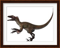 Utahraptor, a carnivorous dinosaur from the Cretaceous Period Fine Art Print