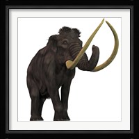 The Woolly Mammoth Framed Print