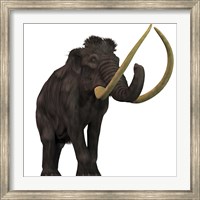 The Woolly Mammoth Fine Art Print