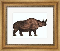 Woolly Rhinoceros, an extinct mammal from the Pleistocene Period Fine Art Print