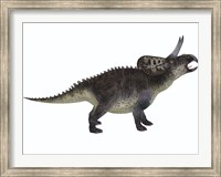 Zuniceratops, a ceratopsian herbivore from the Cretaceous Period Fine Art Print