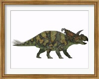Albertaceratops dinosaur from the Upper Cretaceous Era Fine Art Print