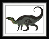 Camptosaurus, a herbivorous dinosaur from the Late Jurassic Period Framed Print