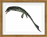Cymbospondylus, an early ichthyosaur from the Triassic Period Fine Art Print
