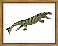 Dakosaurus, white background Fine Art Print
