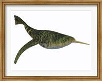 Doryaspis is an extinct genus of primitive jawless fish Fine Art Print