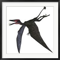 Dorygnathus, a genus of pterosaur from the Jurassic Period Fine Art Print