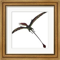 Eudimorphodon, a pterosuar from the Late Triassic Period Fine Art Print