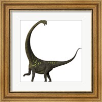 Mamenchisaurus, a plant-eating sauropod dinosaur Fine Art Print