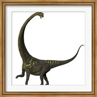 Mamenchisaurus, a plant-eating sauropod dinosaur Fine Art Print