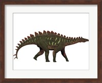 Miragaia is a genus of stegosaurid dinosaur Fine Art Print
