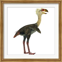 Phorusrhacos, an extinct genus of flightless predatory birds Fine Art Print