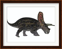 Torosaurus, a herbivorous dinosaur from the Late Cretaceous Fine Art Print