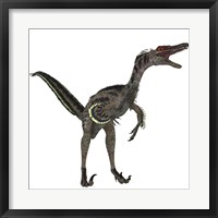 Velociraptor, a theropod dinosaur from the late Cretaceous Period Fine Art Print