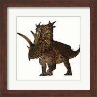 Pentaceratops, a herbivorous dinosaur from the Cretaceous Period Fine Art Print