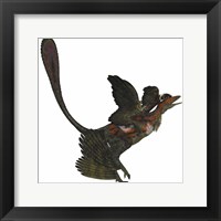 Microraptor, an extinct small flying dinosaur from the Cretaceous Period Fine Art Print