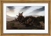 Herd of Xenoceratops foremostensis from the Cretaceous Period Fine Art Print