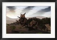 Herd of Xenoceratops foremostensis from the Cretaceous Period Fine Art Print