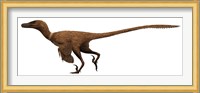 Velociraptor mongoliensis was a mid-sized dinosaur from the Cretaceous Period Fine Art Print