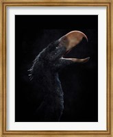 Andalgalornis steulleti, a flightless predatory bird Fine Art Print