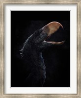 Andalgalornis steulleti, a flightless predatory bird Fine Art Print